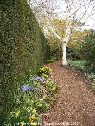 Cambridge Botanic (0)